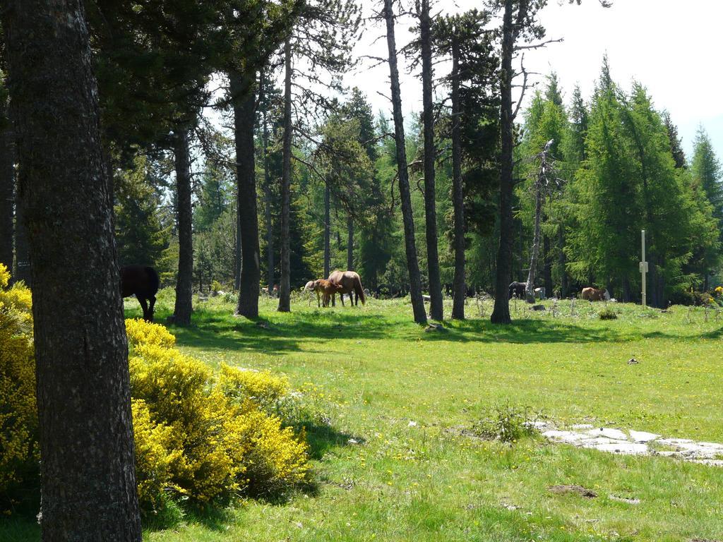 Apartmán Font Romeu Via Pokoj fotografie